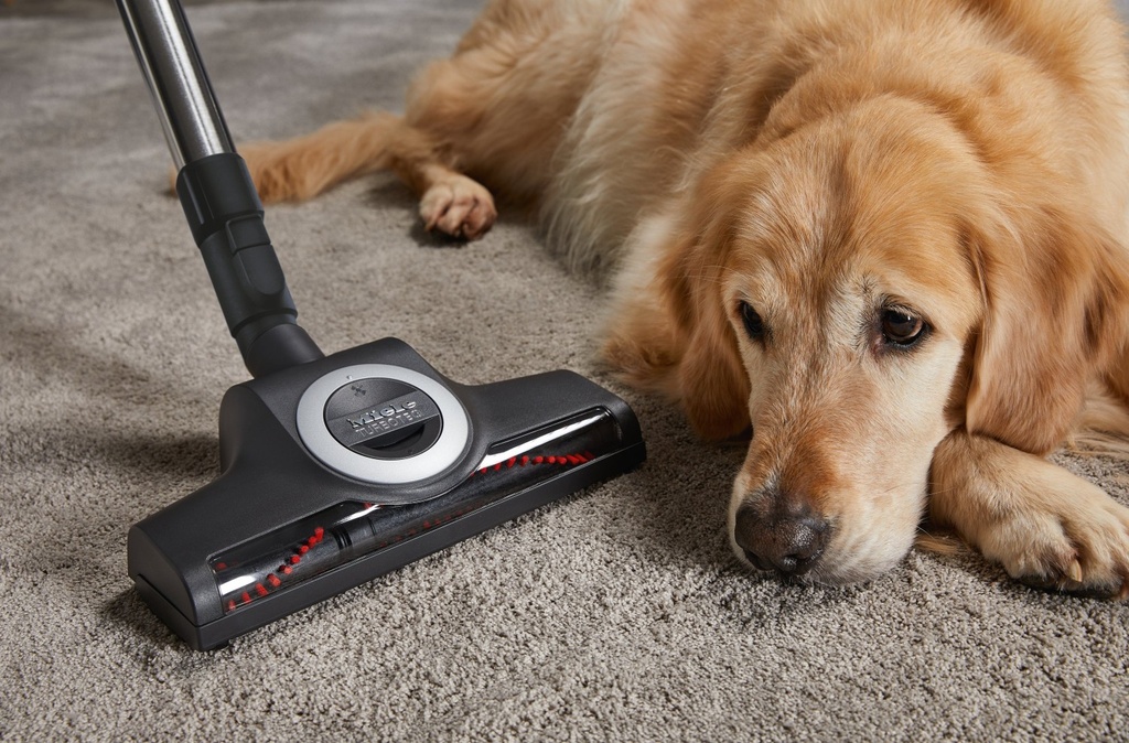 Complete C3 Cat & Dog Flex SGEF5 Mangorot